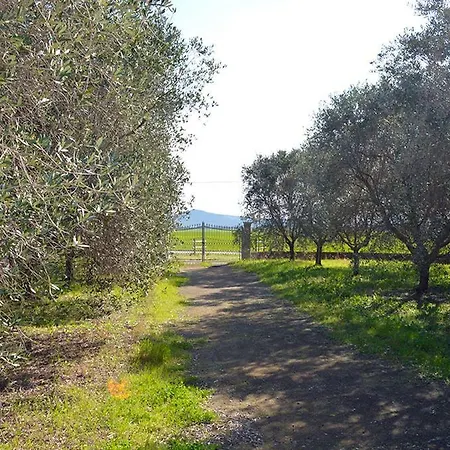 בית חווה Olivomare פיומבינו
