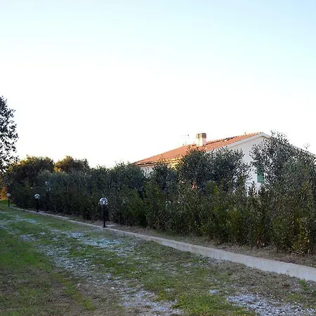 Olivomare 팜스테이 *