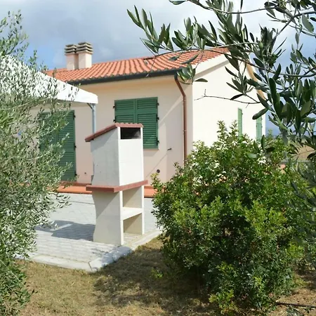 Olivomare * 피옴비노