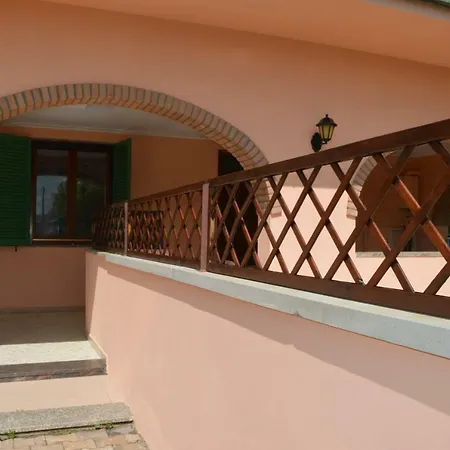 Olivomare 피옴비노