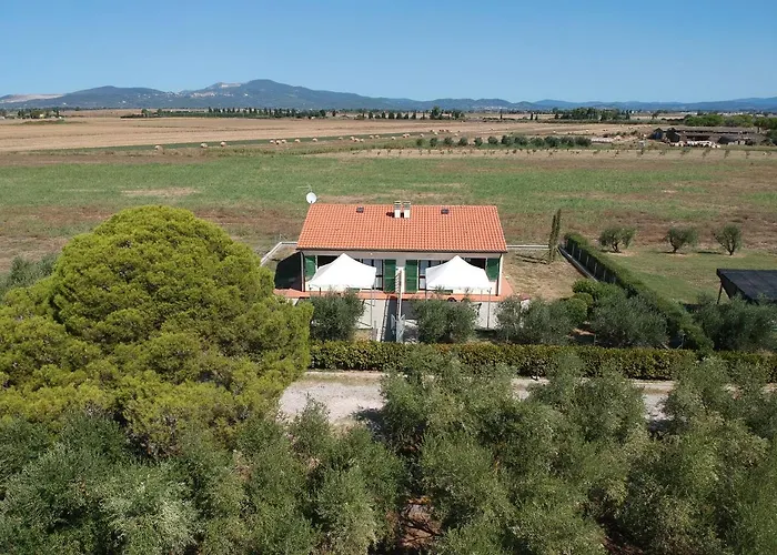 Olivomare 팜스테이 *