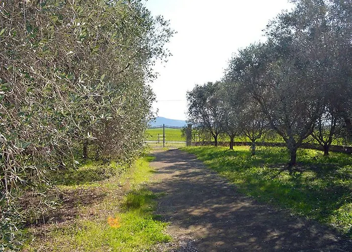 팜스테이 Olivomare 피옴비노