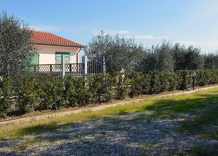 팜스테이 Olivomare 피옴비노