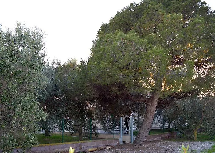 Olivomare 팜스테이 *