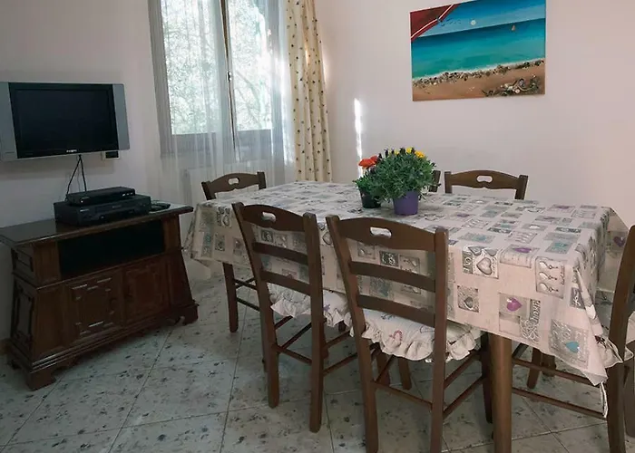 Olivomare * 피옴비노