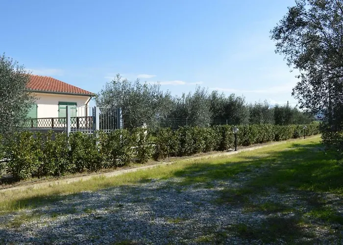 Olivomare 팜스테이 *