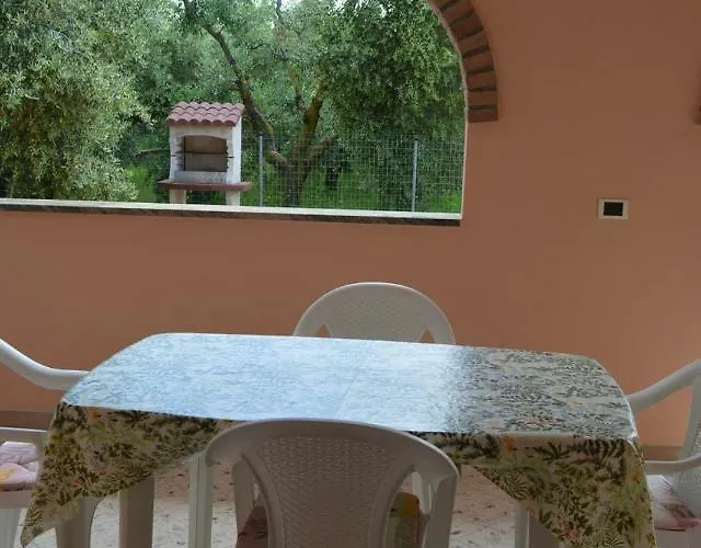 Olivomare * 피옴비노