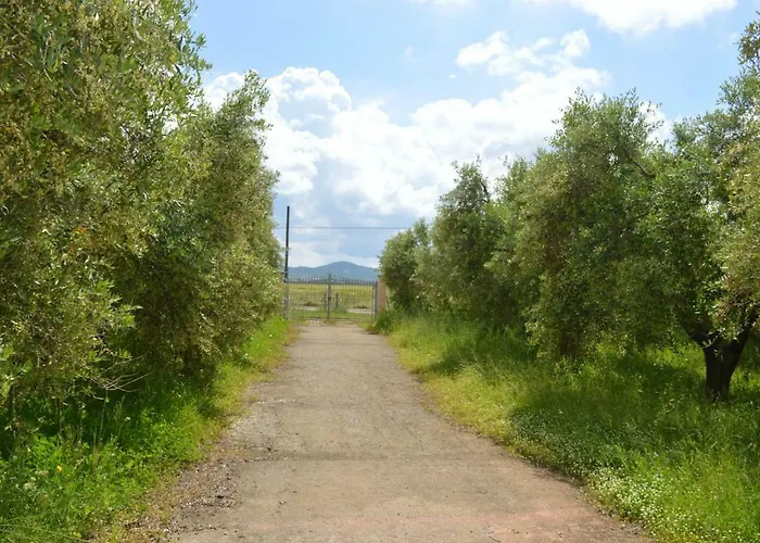 팜스테이 Olivomare