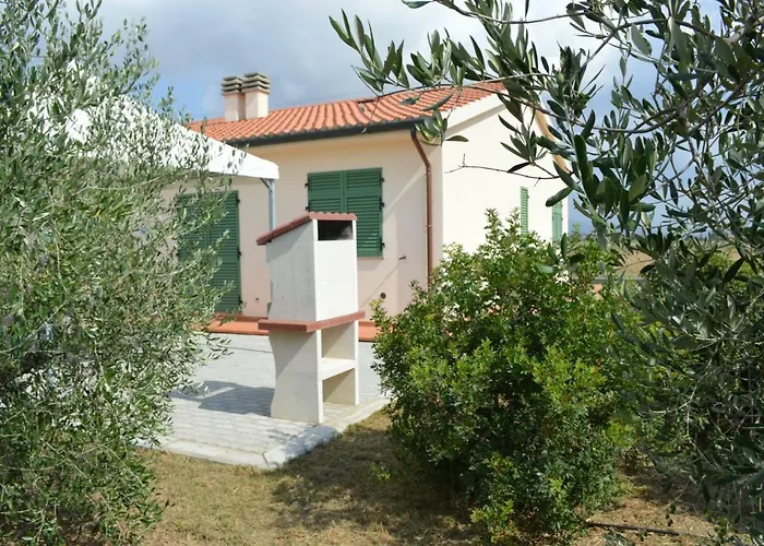 Olivomare * 피옴비노