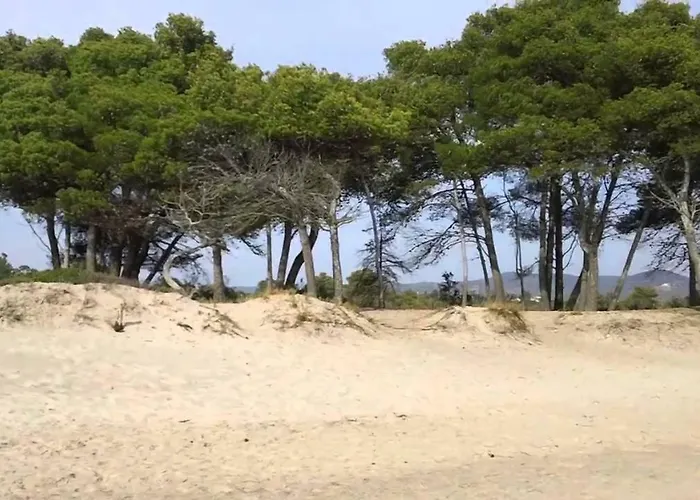 팜스테이 Olivomare